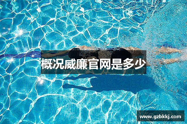 概况威廉官网是多少